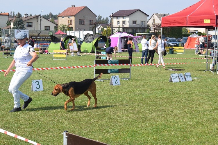 17_suki uzytki _GAJA Warkuta .jpg
