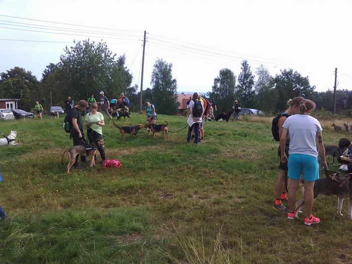 ina i piorun.jpg