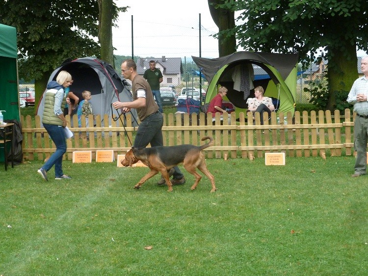 P1060572zm.JPG