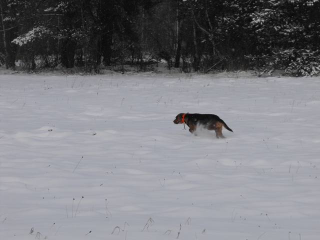DSCF5047.JPG
