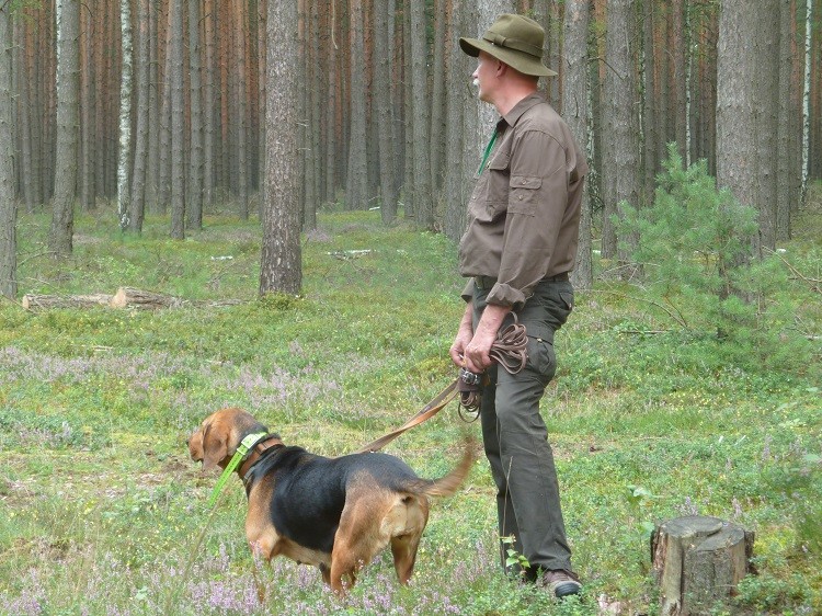 przed ścieżką