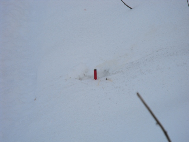 DSCF5059.JPG