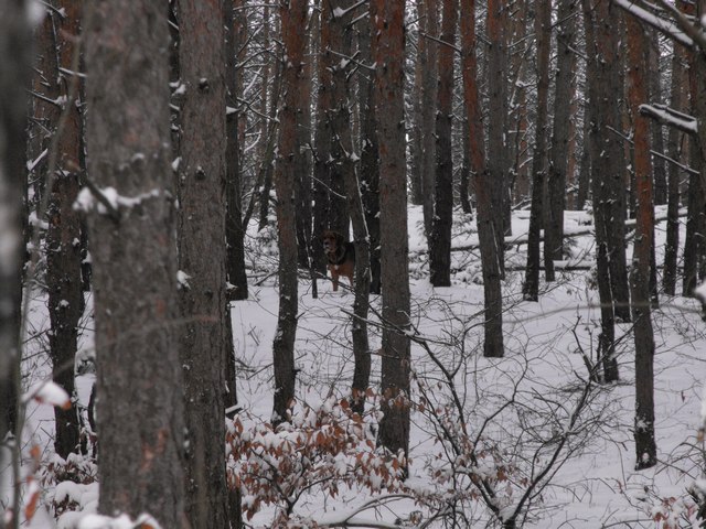 DSCF5068.JPG