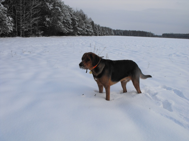 DSCF5074.JPG