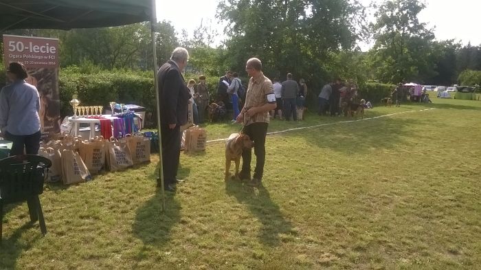 Tabun Leśne Bytowanie