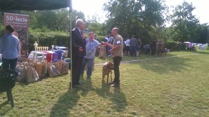 WP_20170909_11_07_11_Pro.jpg