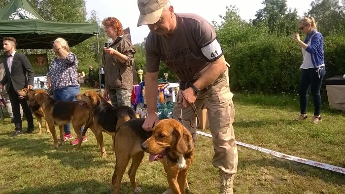 WP_20170909_10_45_06_Pro.jpg