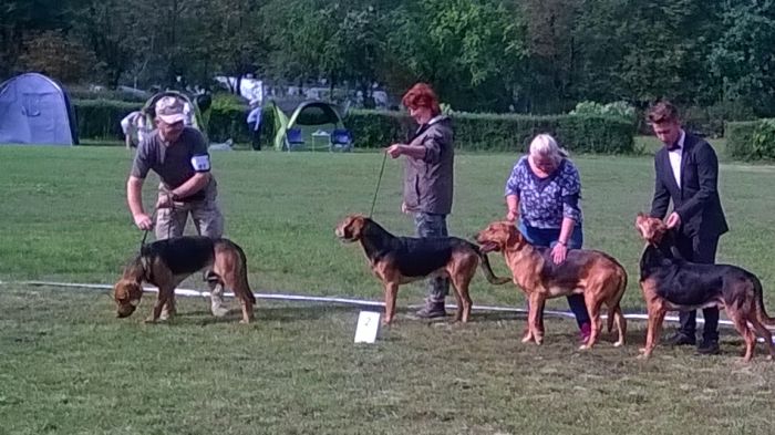 WP_20170909_10_47_28_Pro.jpg