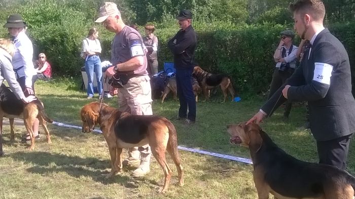 WP_20170909_12_07_59_Pro.jpg