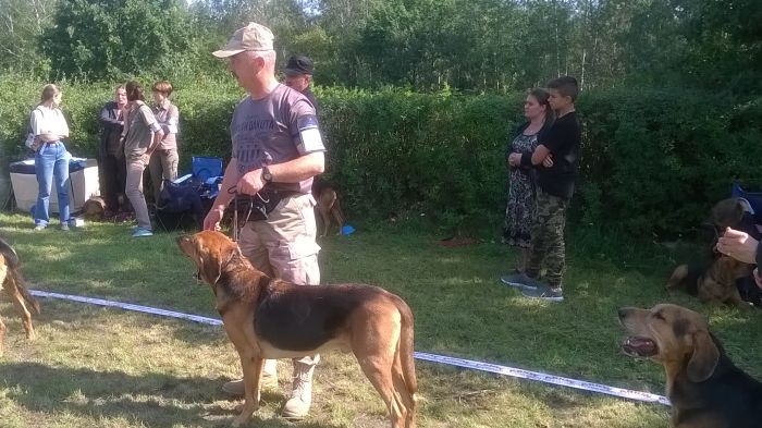WP_20170909_12_08_08_Pro.jpg