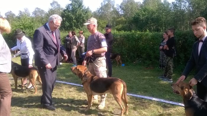 WP_20170909_12_08_11_Pro.jpg