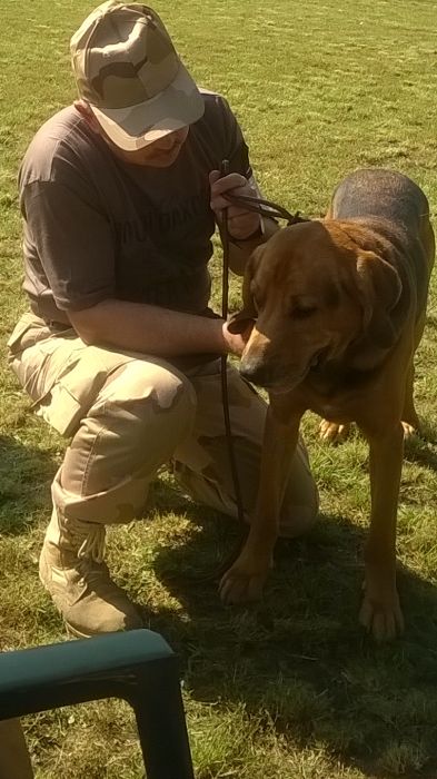 WP_20170909_12_17_07_Pro.jpg