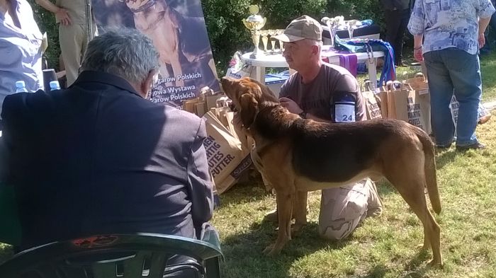 WP_20170909_12_17_22_Pro.jpg