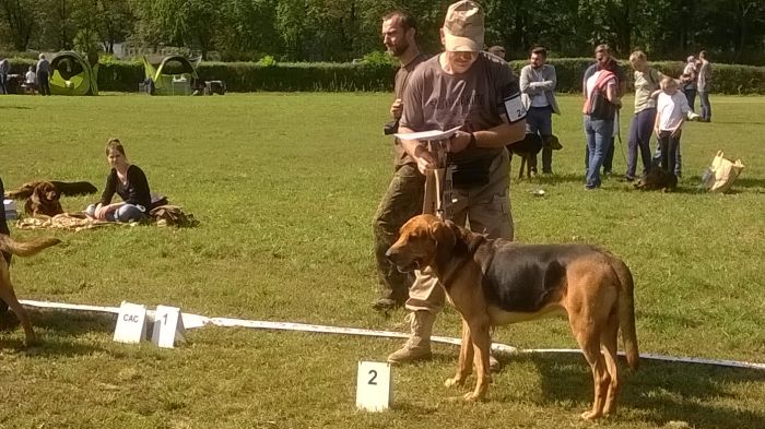 WP_20170909_12_22_45_Pro.jpg