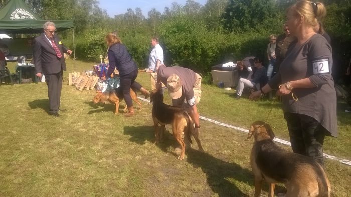 WP_20170909_13_06_43_Pro.jpg