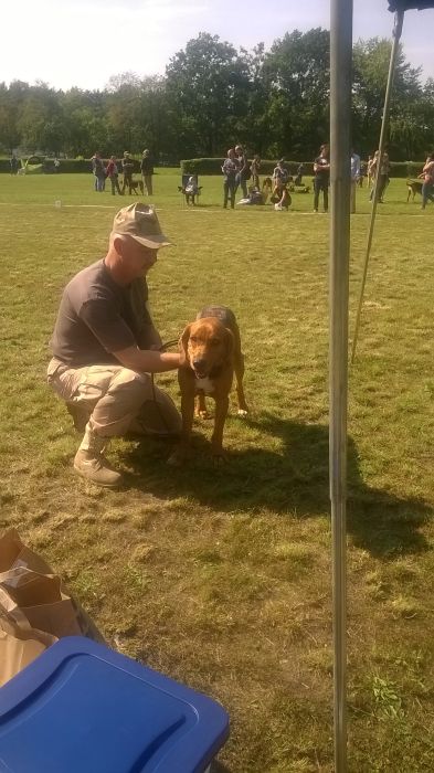 WP_20170909_13_11_35_Pro.jpg