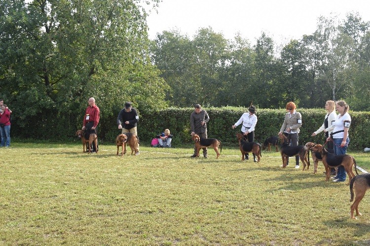 4_ konkurencja _Grupy hodowlane _POSZŁY w LAS DSC_0251.jpg