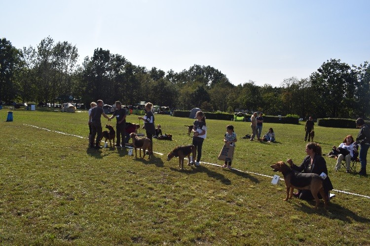 14_suki_klasa weteranów.jpg