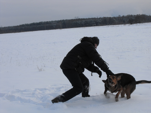 DSCF5082.JPG