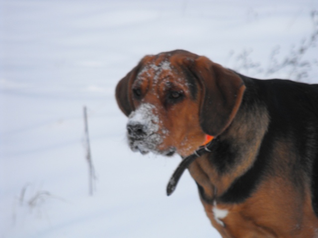 DSCF5086.JPG