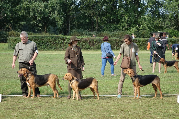 zdj nr 9.jpg