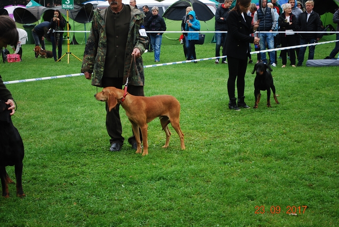 DSC_0010.JPG