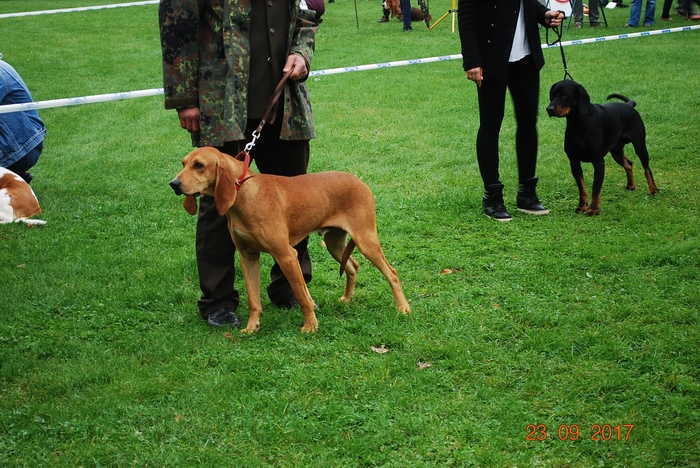 DSC_0013.JPG
