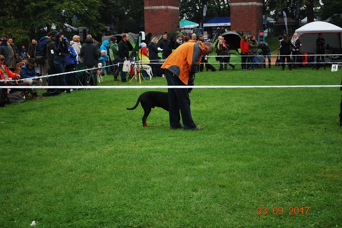 DSC_0021.JPG
