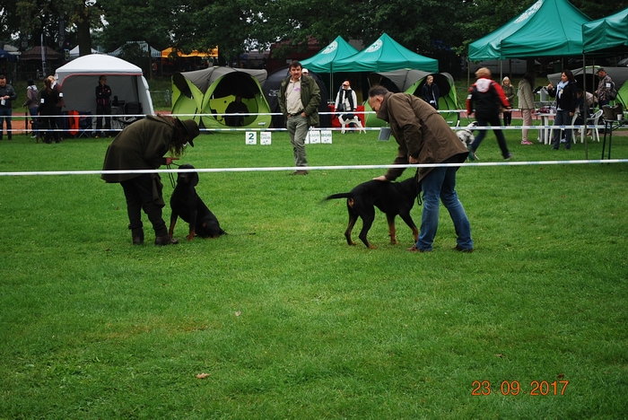 DSC_0022.JPG