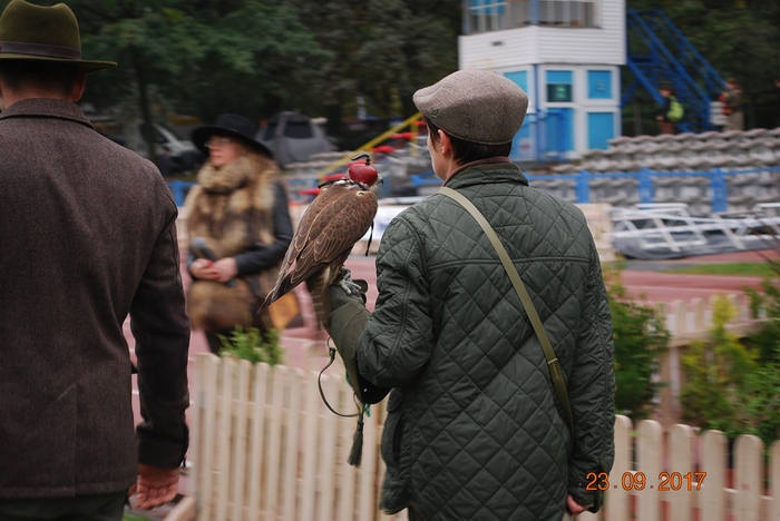 DSC_0063.JPG