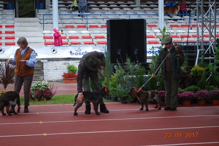 DSC_0116.JPG