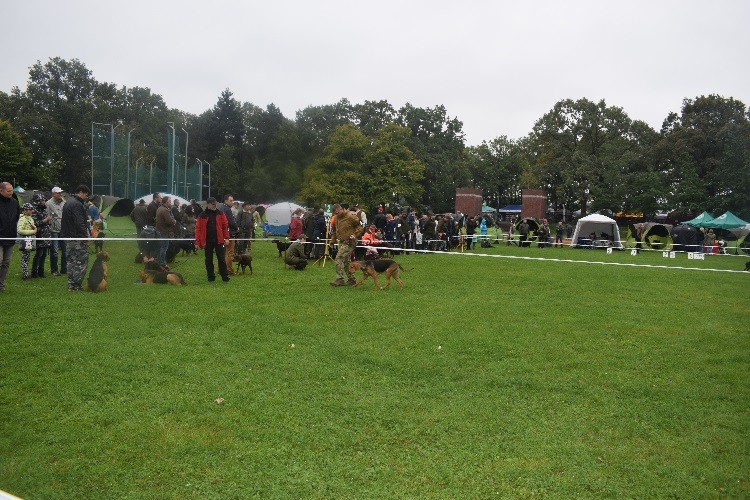 8_Klasza Szczeniat_TAJGA Lesne Bytowanie.jpg