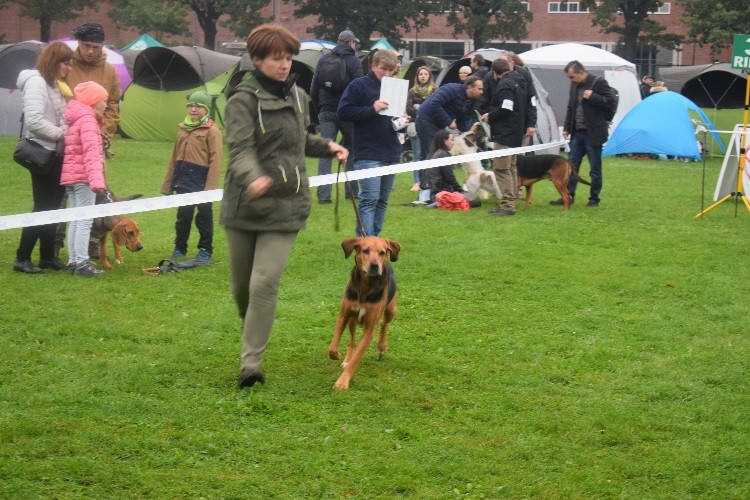 16 BOS_ ŁOZA z Jaśminowej Ulicy .jpg