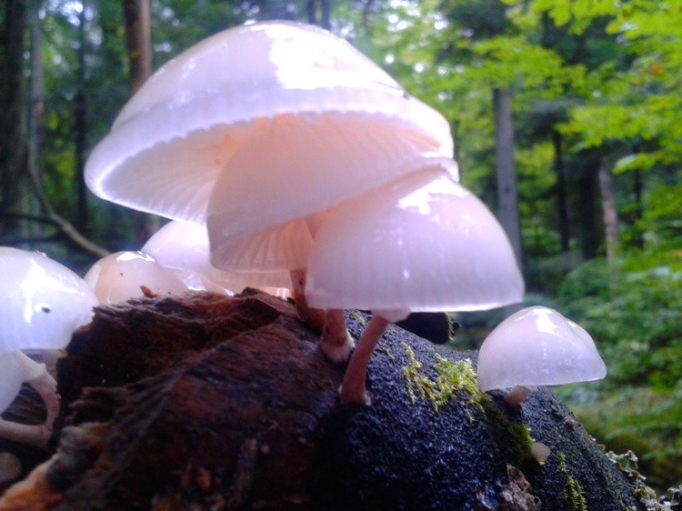 20170923_150551.jpg b.jpg