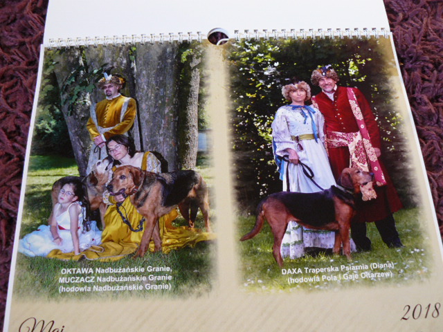 P1580865.JPG