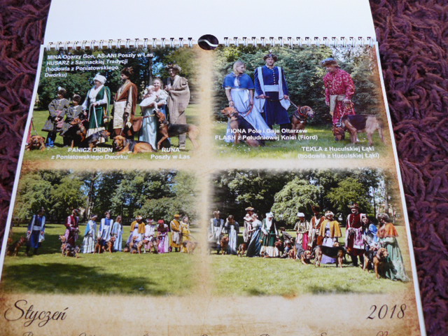 P1580861.JPG