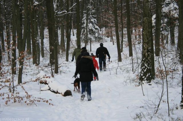 images_Sekret 135_.jpg