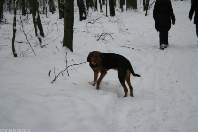 images_Sekret 111_.jpg
