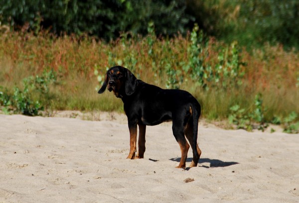 DSC_1439.JPG