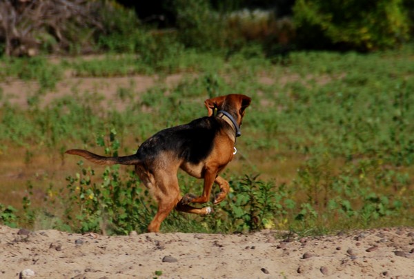 DSC_1455.JPG
