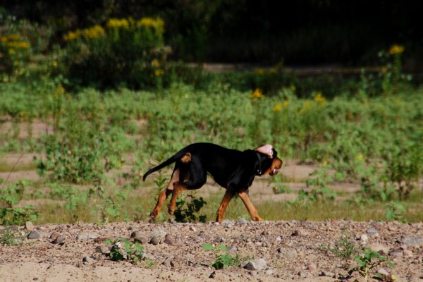 DSC_1456.JPG
