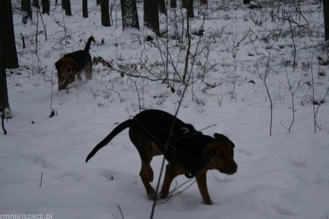 images_Sekret 087_.jpg