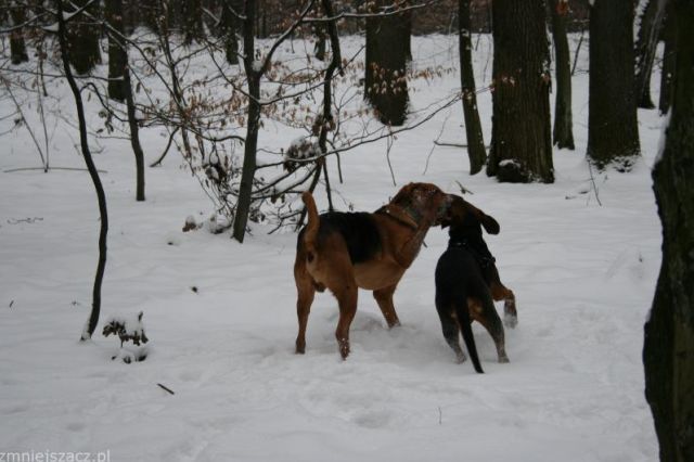 images_Sekret 026_.jpg