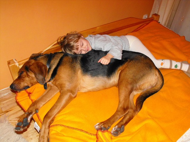 DSCF5003.JPG