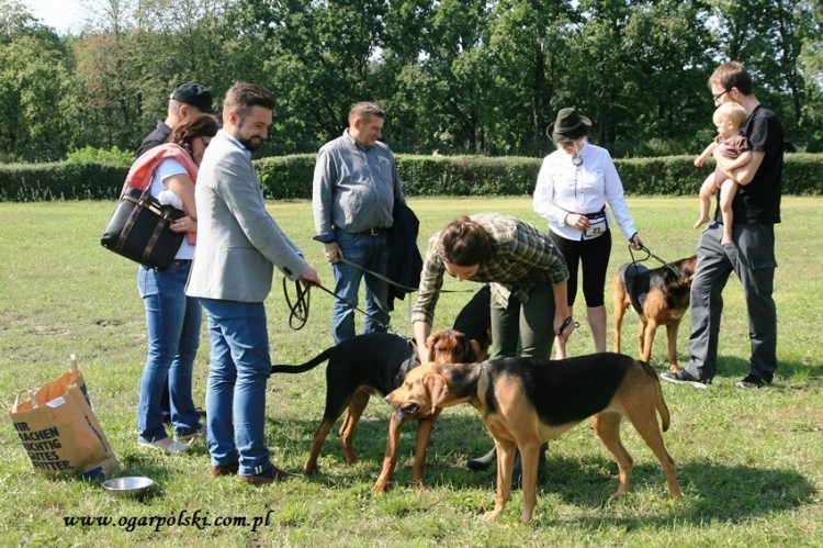 Poznawanie ogarzej braci.