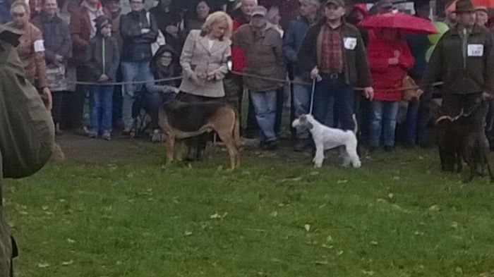 WP_20171007_16_20_42_Pro.jpg