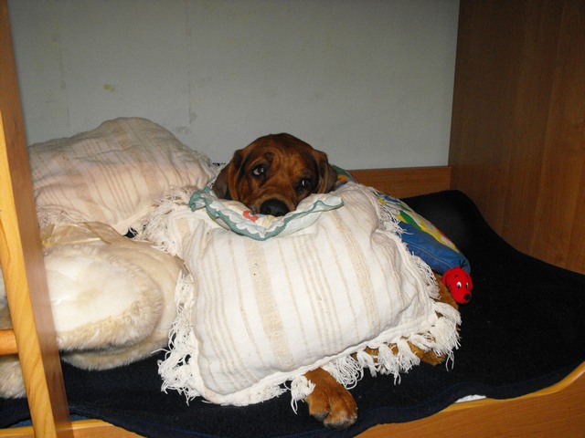 DSCF5004.JPG