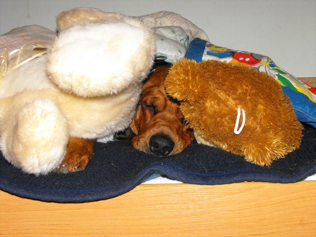 DSCF5008.JPG
