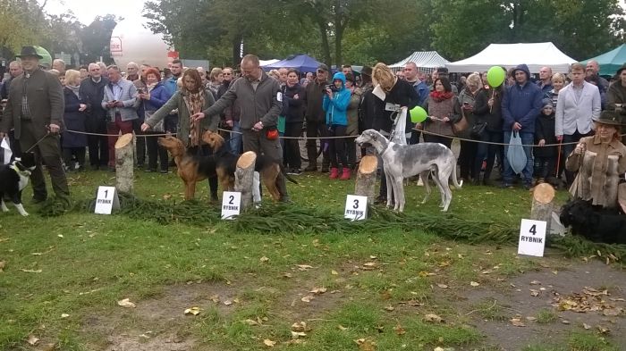 WP_20171007_15_39_10_Pro.jpg