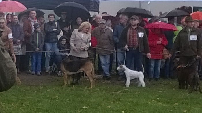 WP_20171007_16_20_42_Pro.jpg